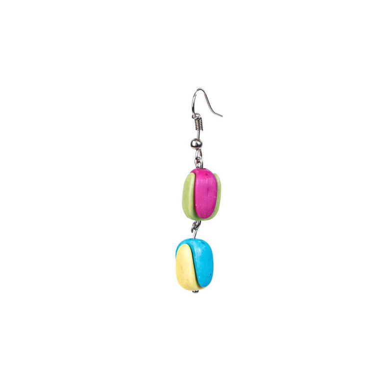 Multi-colored Earrings1