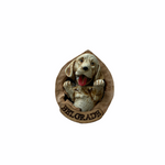 Ref Magnets- Dog/Cat